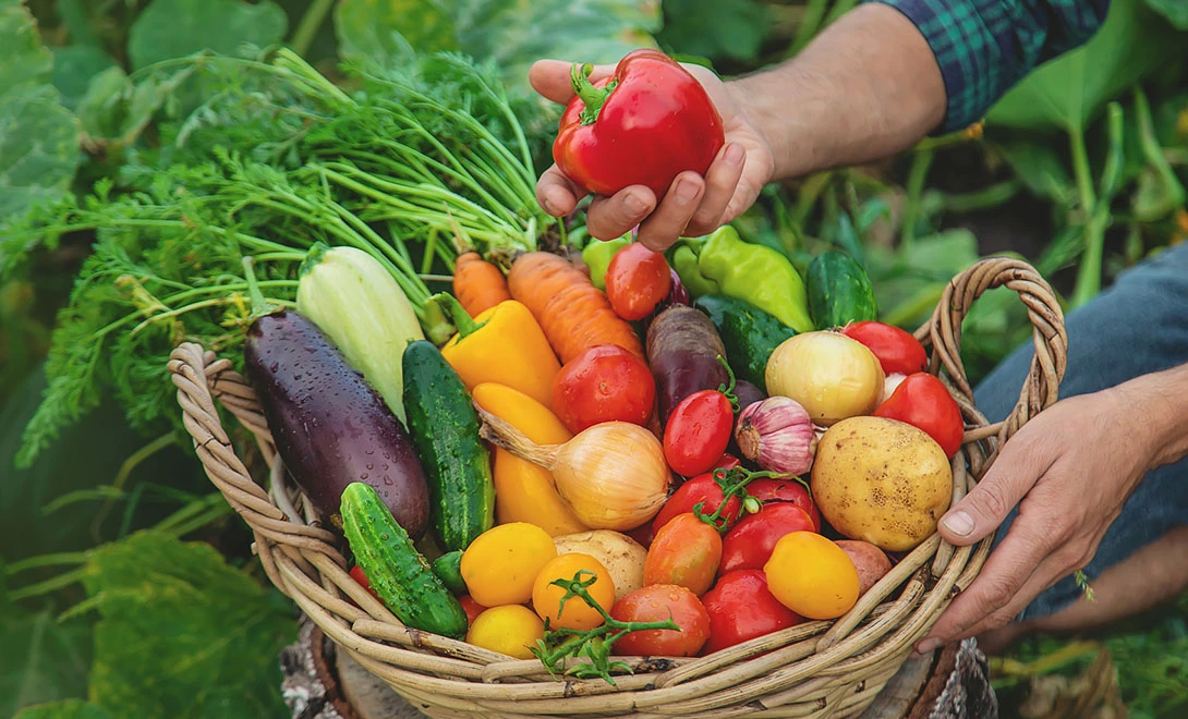 Can antiviral peptides be used in organic farming？